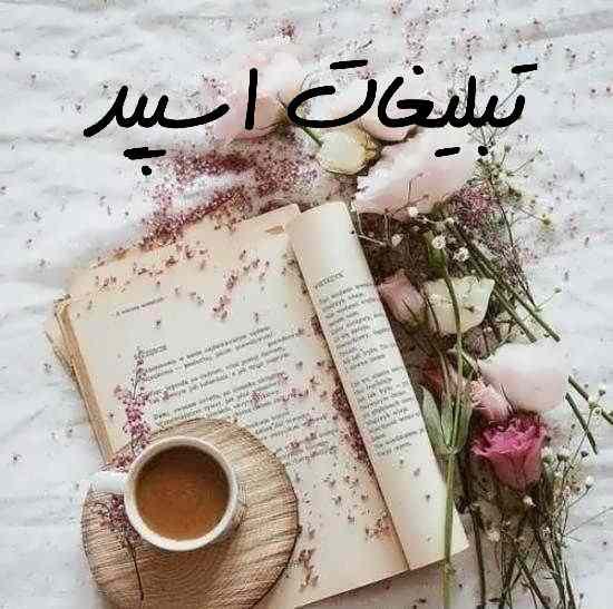 کانال روبیکا بیو و پروفایل سیتی دارک