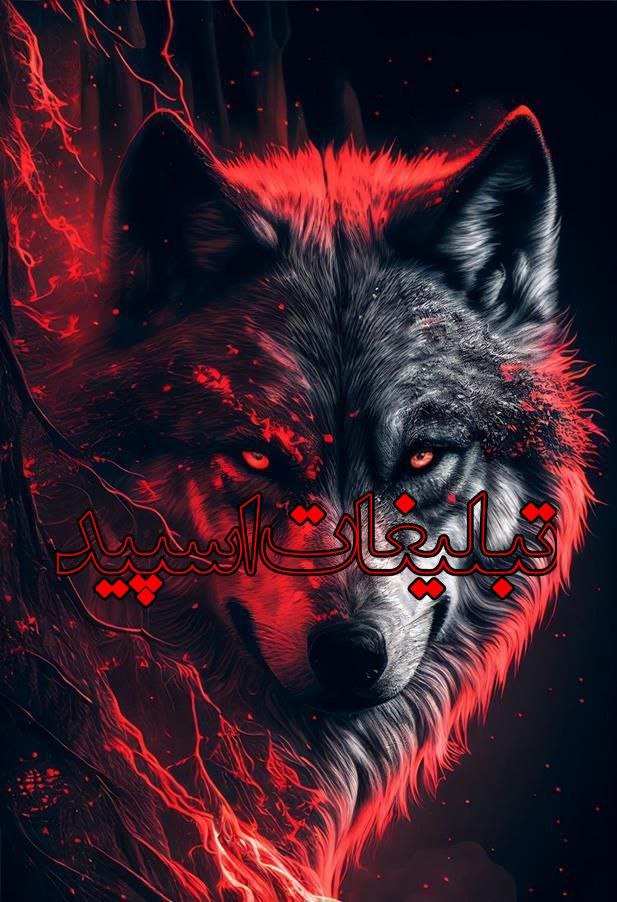 ⎯꯭᪵̽𝆺꯭𝅥𝐖𝐈𝐋𝐃𓆩᪵🜲꯭𓆪̥𝐖𝐎𝐋𝐅⎯꯭꥓᪵ͯ⟶ (95)