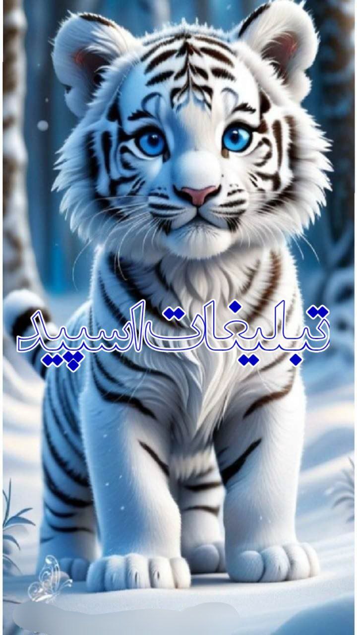 وایلد ولف (102)