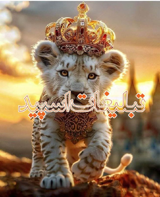 ️ ↓○‌●|‌ قلمرو دوستان کمیاب ▸‌‌↳‌‌┌‌‌‌‌‌‌‌‌♥️┘∇