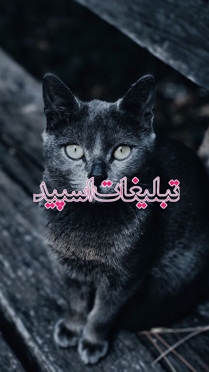 محفل خوبان (7)