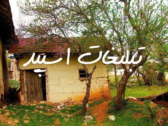 گروه چت تلگرام لاو لند
