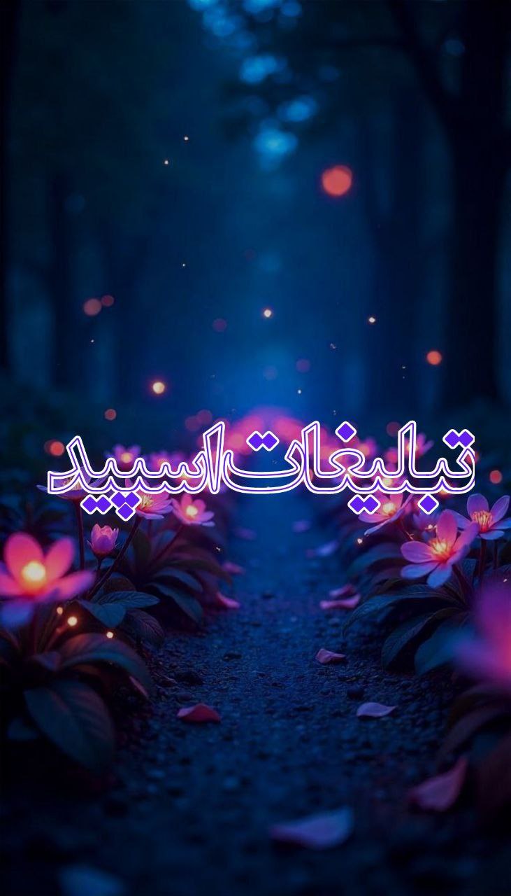 وایلد ولف (41)