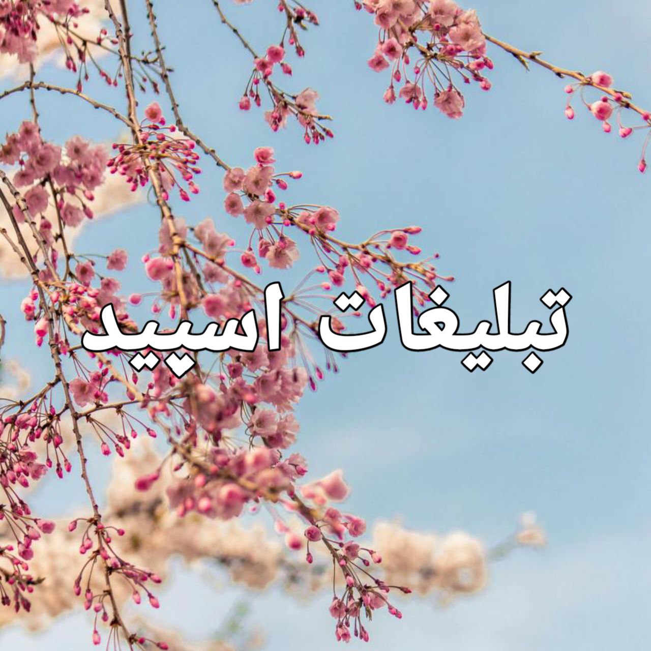 گروه چت تلگرام لاکچریای ایران