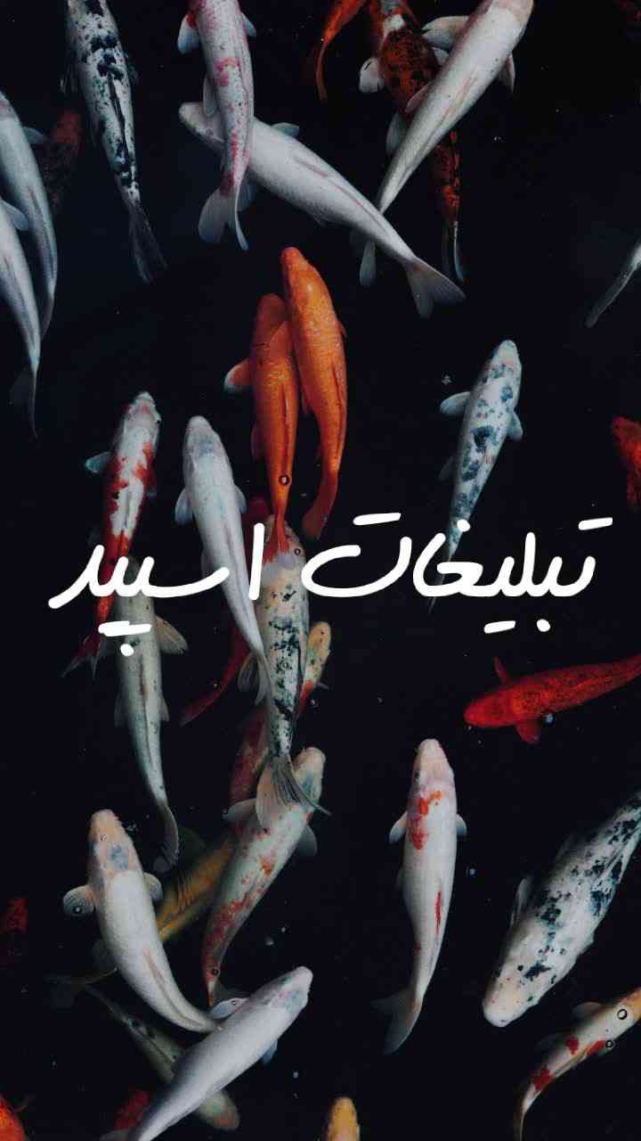 گپ تلگرام کلبه دوستی 