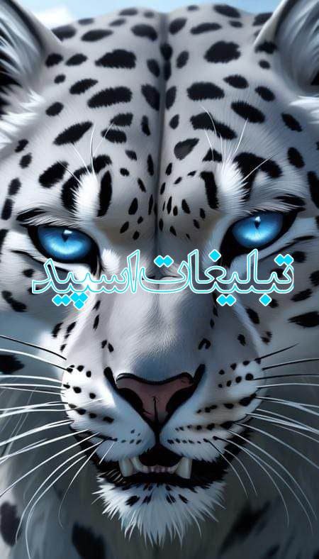 وایلد ولف (144)