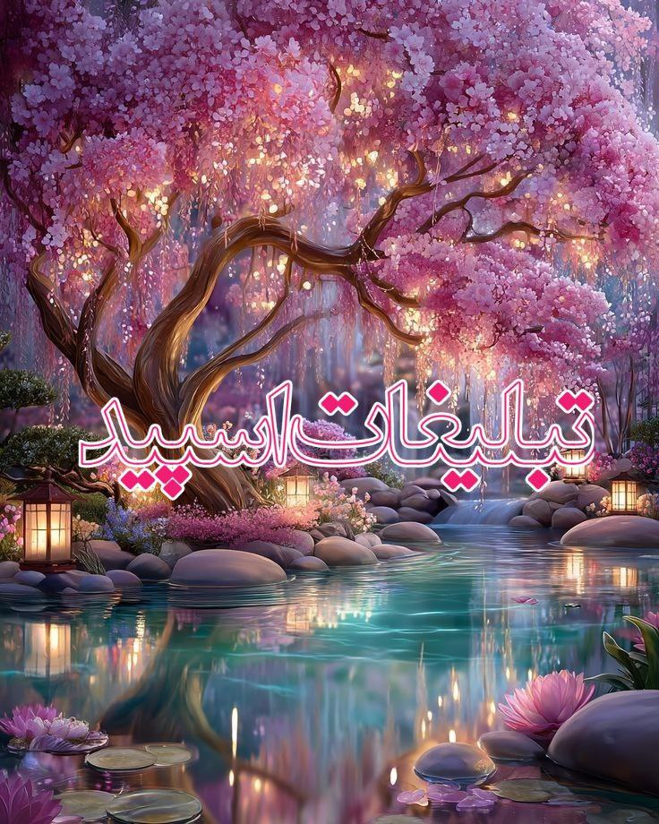 وایلد ولف (334)