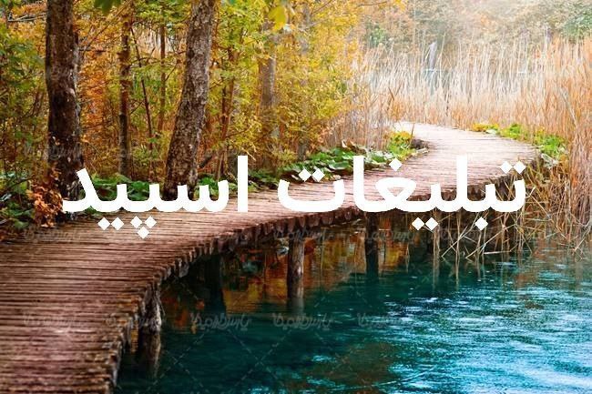 گپ تلگرام ازگارد 