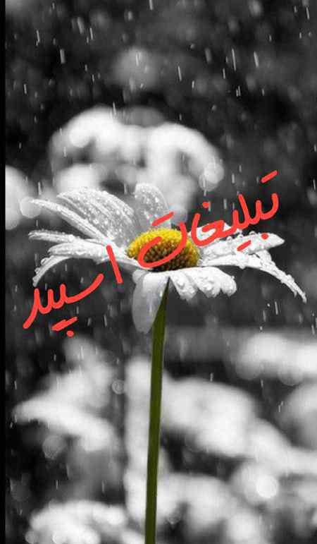 گروه چت ایتا ایران خوزستان