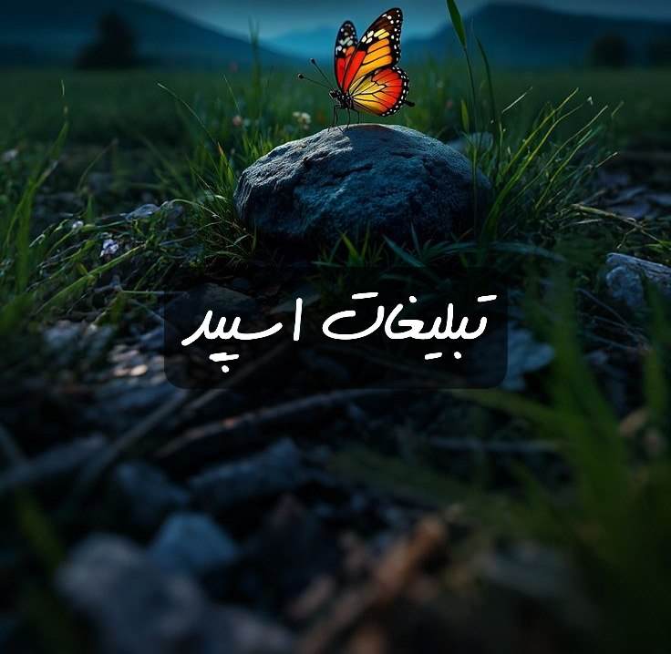 گروه تلگرام سنگدلان