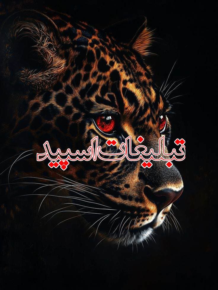 دورهمی دوستانه (7)