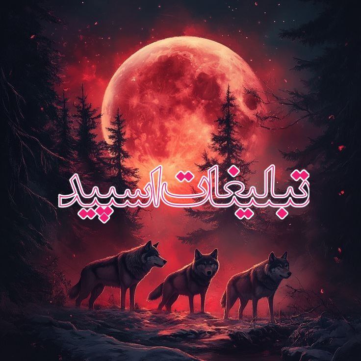 وایلد ولف (301)