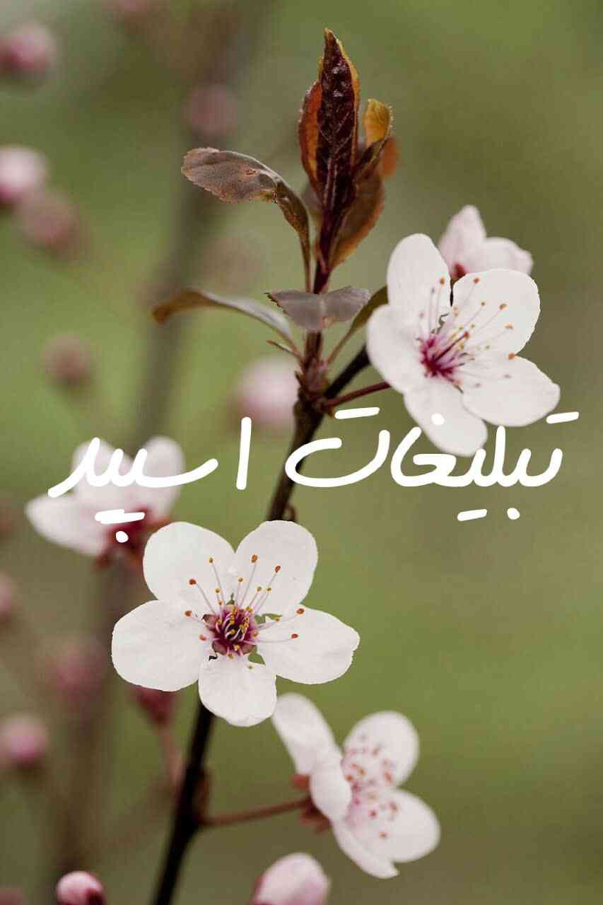 گپ تلگرام کلبه عشق