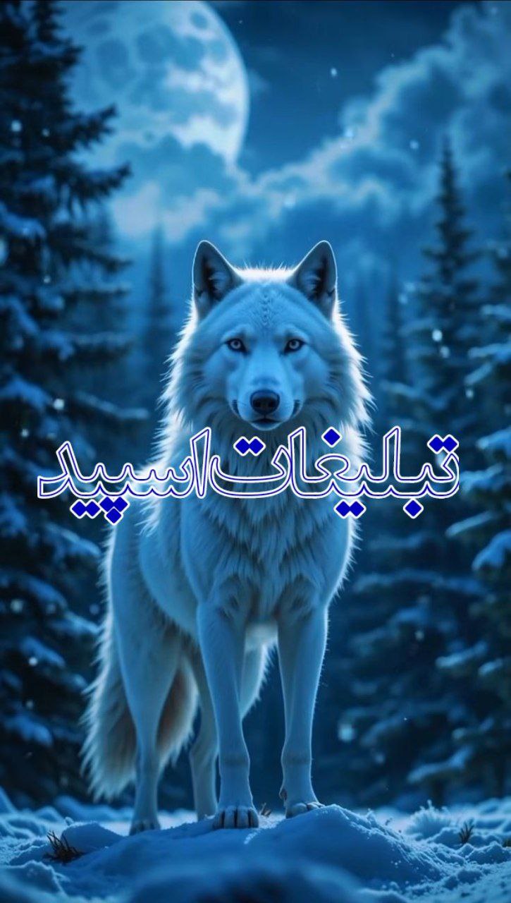 گپ CARADELA بازگشت! (1)