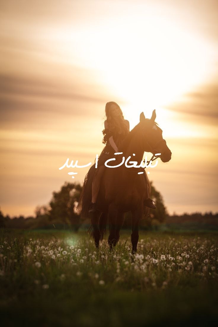 گروه تلگرام دورهمی لاکچریای خراسان