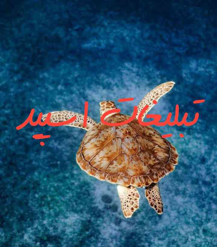 گروه چت تلگرام شب نشینی با پلنگ