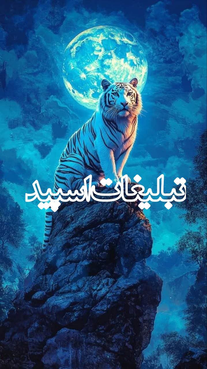 وایلد ولف (71)