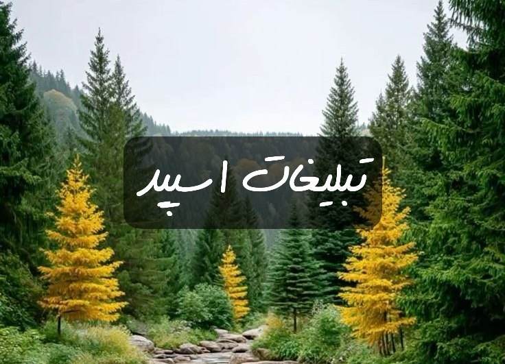 گروه تلگرام مهربونای تبریز