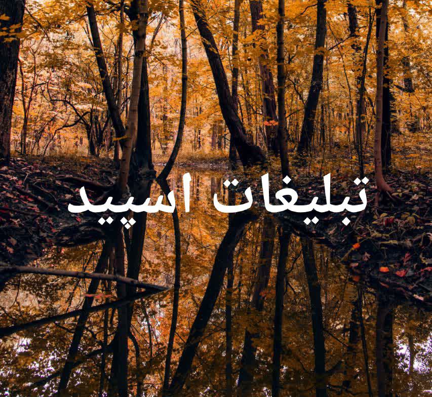 گپ تلگرام نشست بهترینها