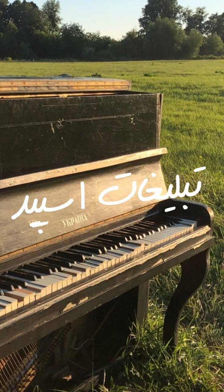 گروه چت تلگرام همه مشتیا 