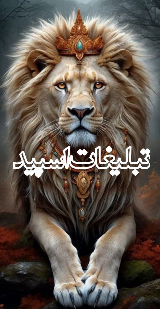 کلبه مجازی دوستان (3)