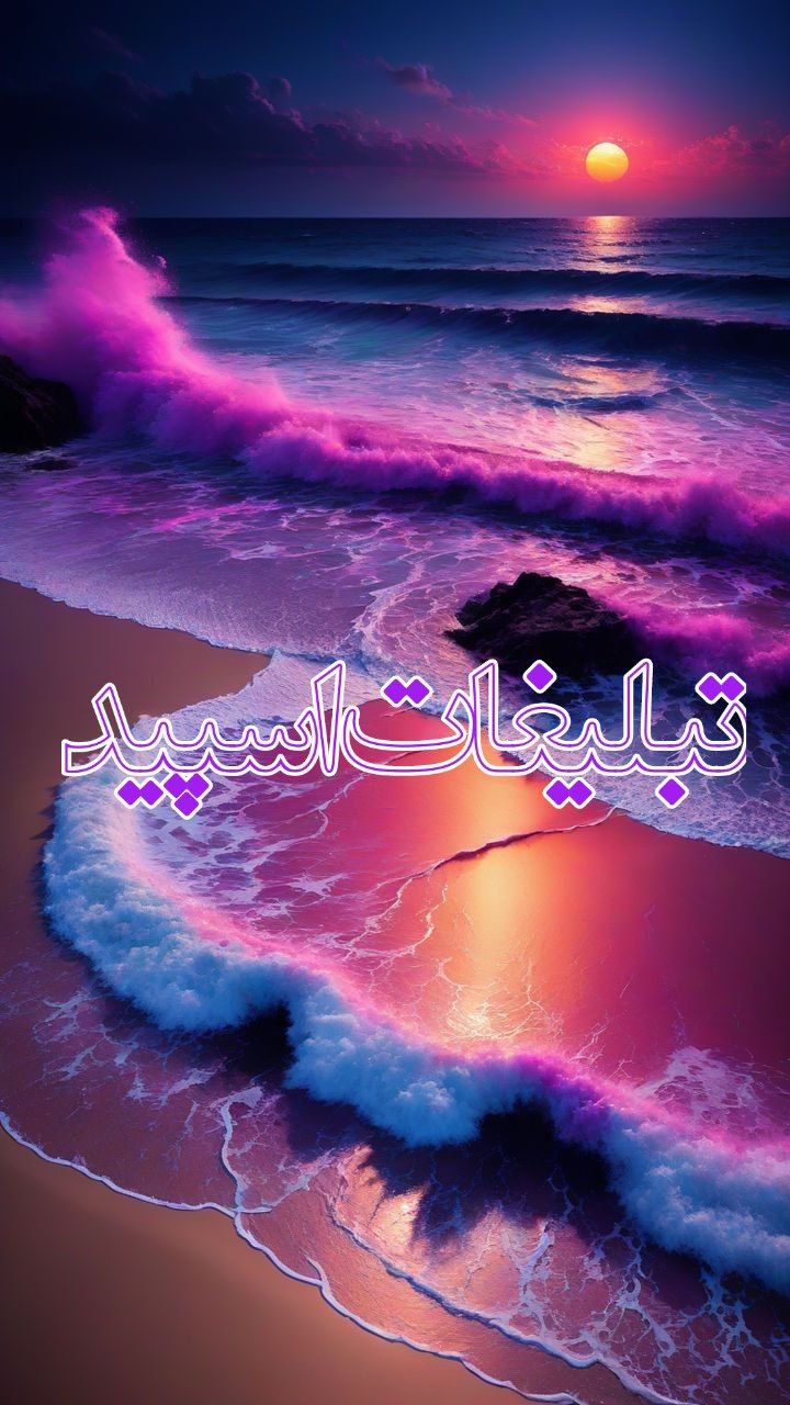 وایلد ولف (337)