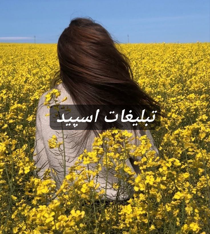 گپ تلگرام سیتی لند 