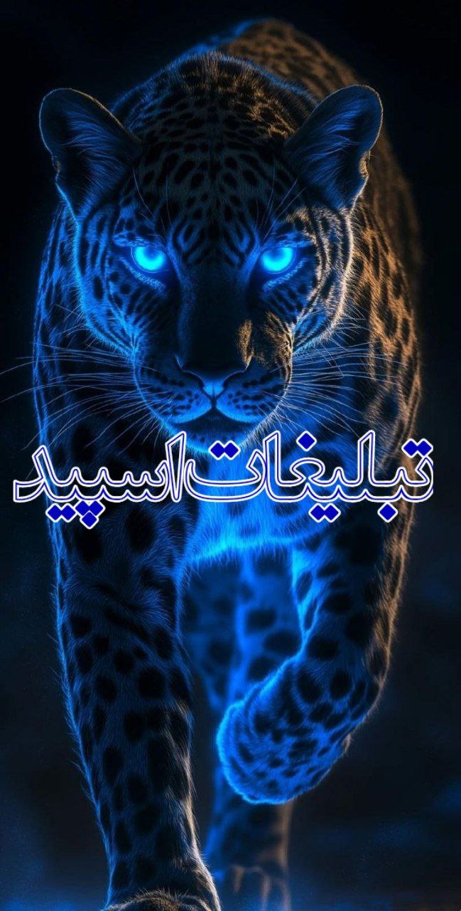 مجازیه جدی نگیر