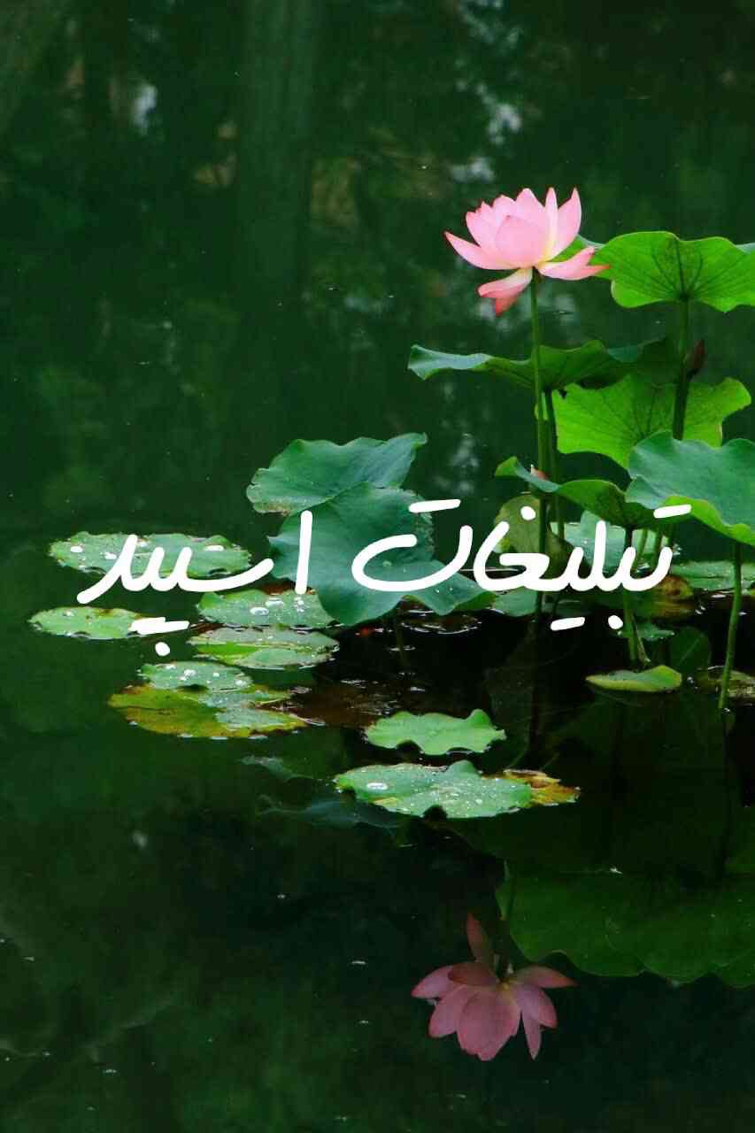 گپ تلگرام چتکده مهربانی