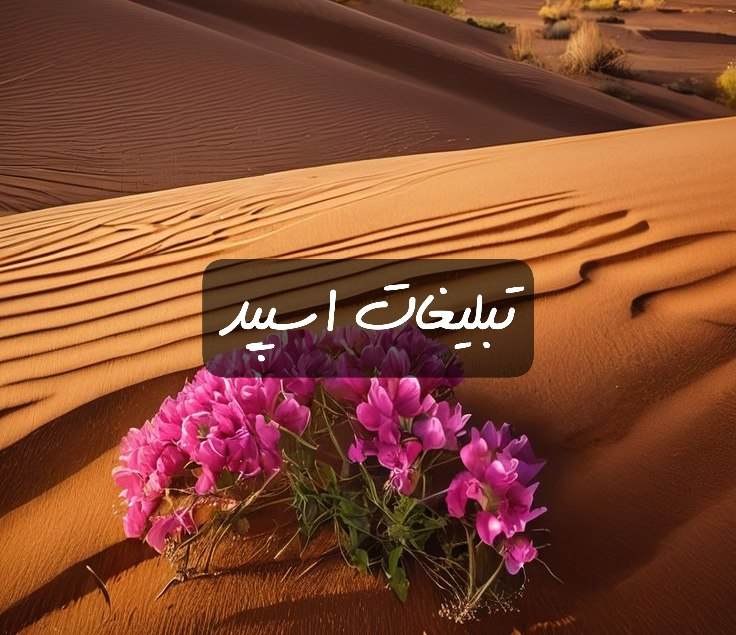 گروه تلگرام کلبه ی زنجبیلی