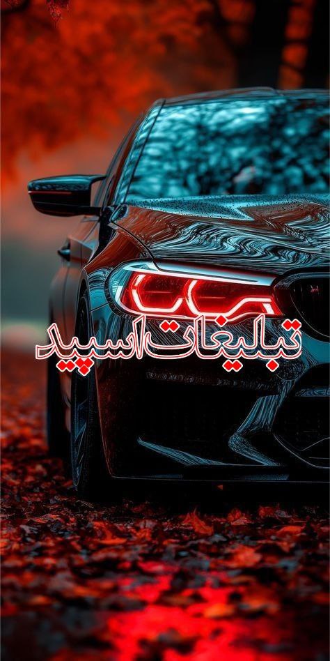 【ꉂ꯭𖠳꯭┌‌‌🌿↳•ترنم عشق⇠꯭℡‌𖤉‌↲‌‌🎹⃤⇡