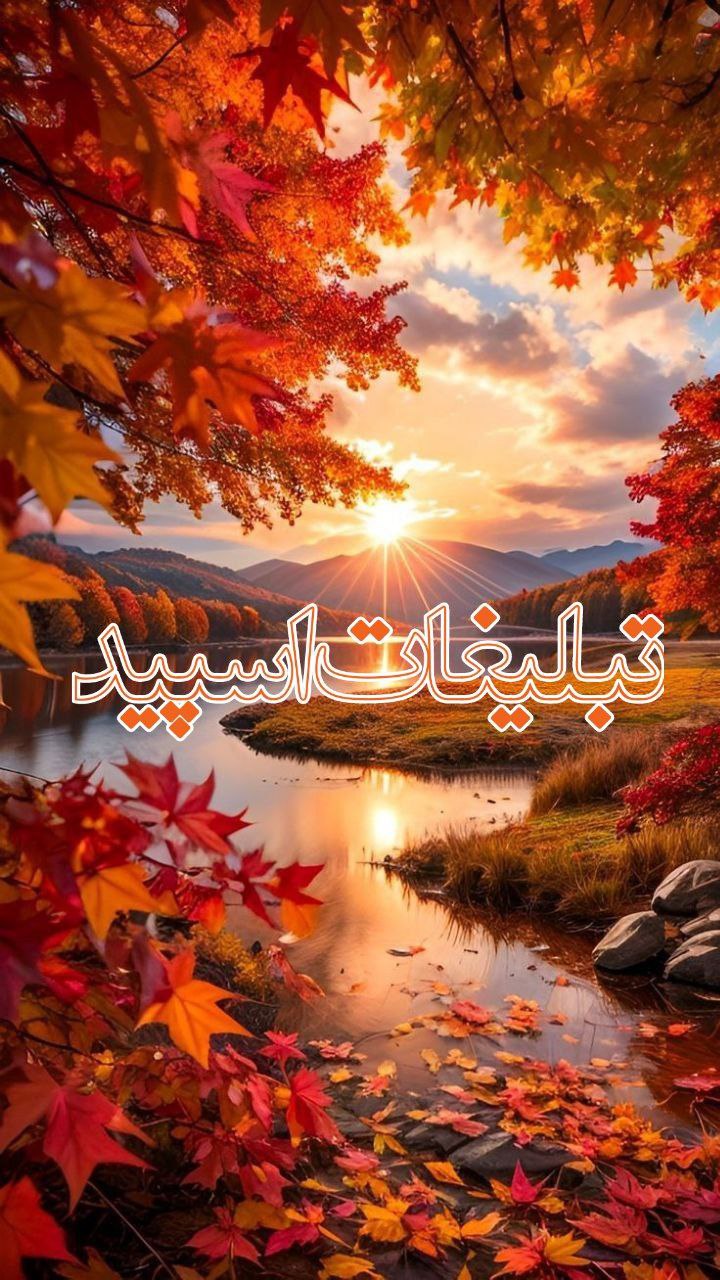 دوستان ماندگار (17)