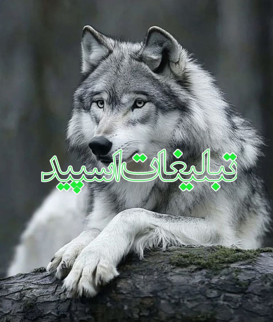 ꧂🤟 Āᕲᗩᘻ ᓍ ᕼᗩᐺà🤟 (2)