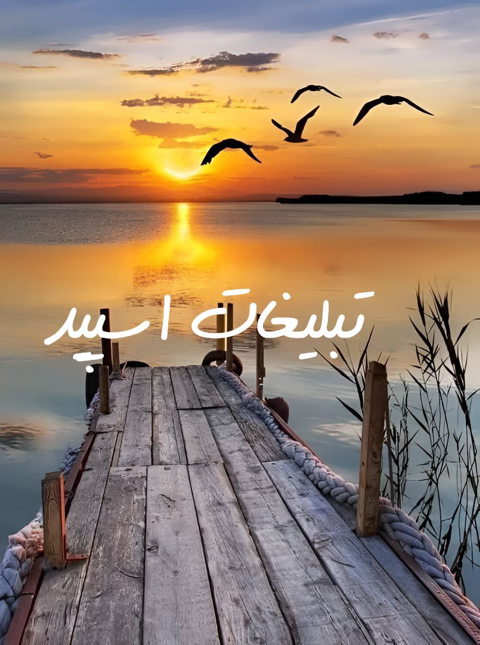 چتکده دوستان خاص