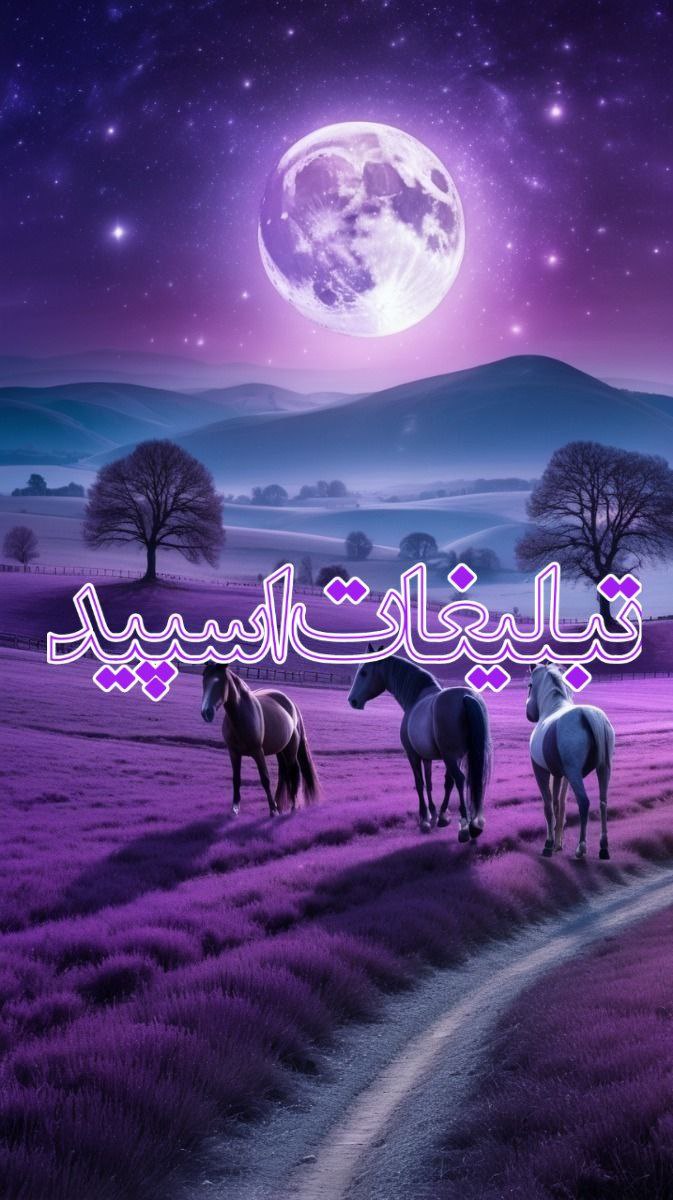 ولف سیتی (17)