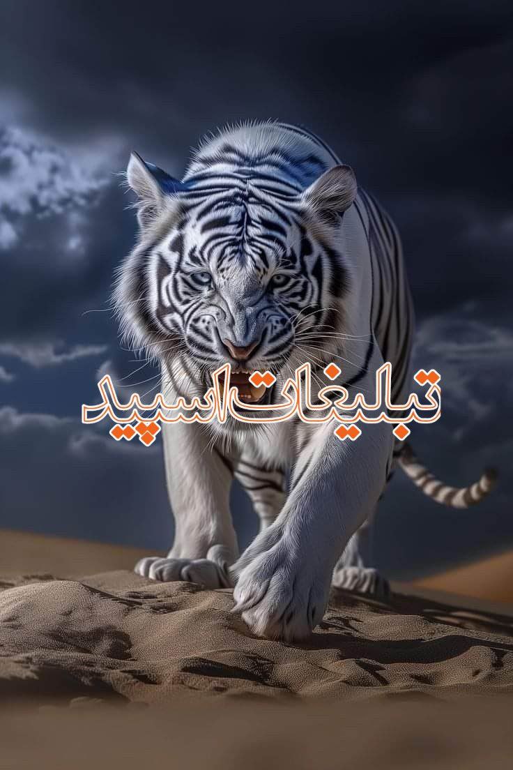 عشق نهایتی (3)