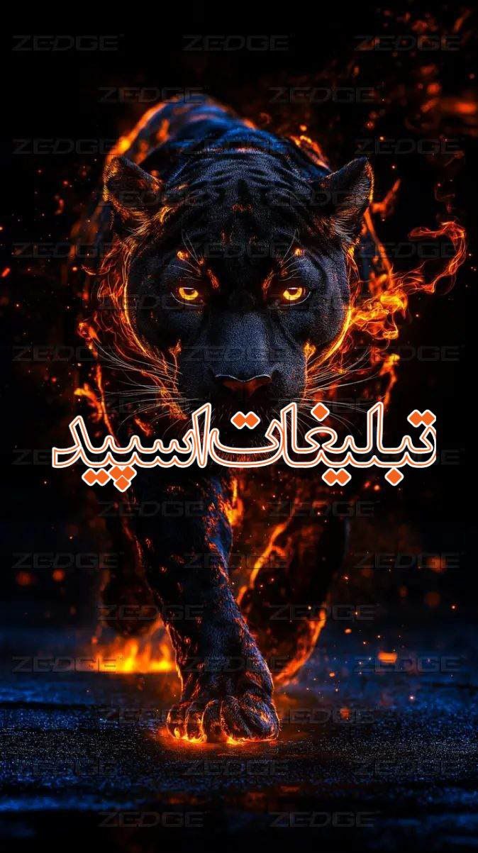 💕 پاتوق عشقولیا 💕