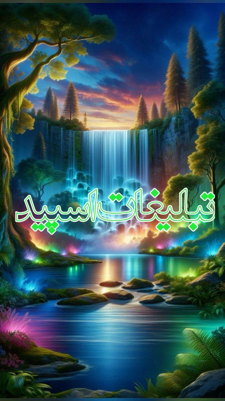 وایلد ولف|WILD WOLF (61)