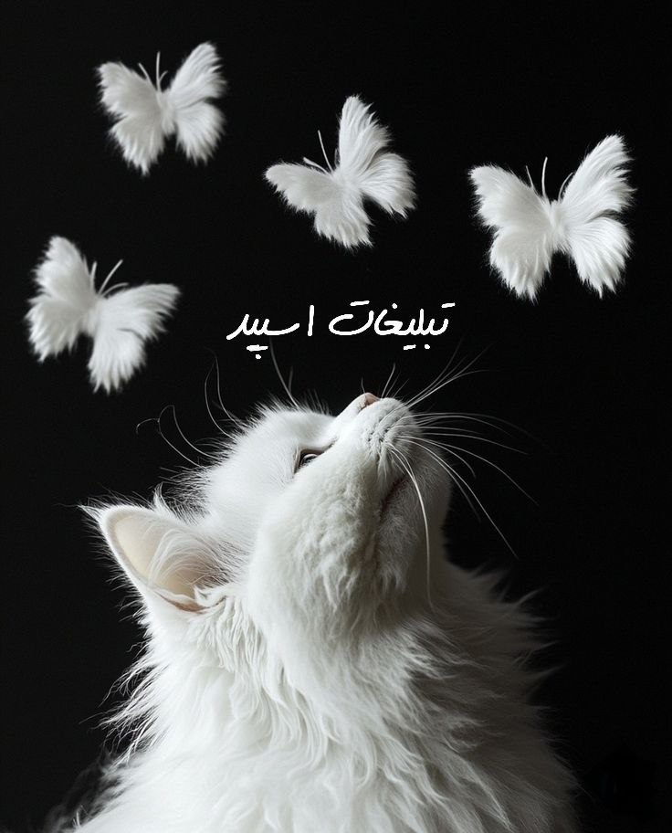 گروه تلگرام کافه شبهای عاشقی