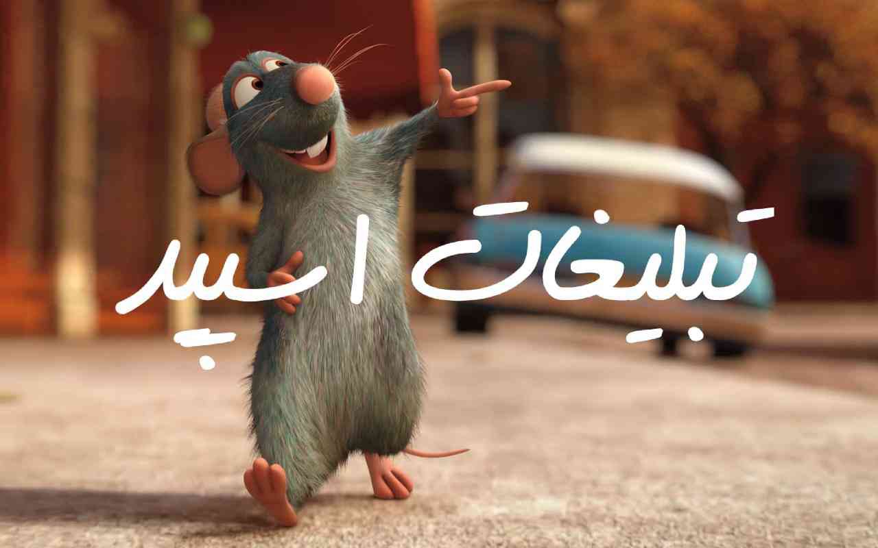 گروه چت تلگرام آشیانه