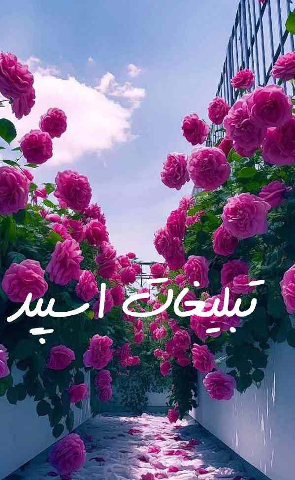 کانال سروش تکست سنگین 