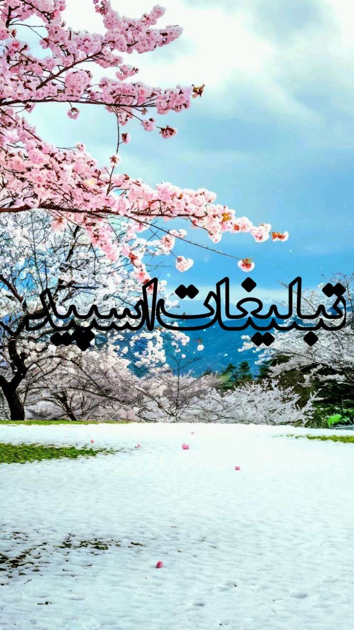 وایلد ولف (149)