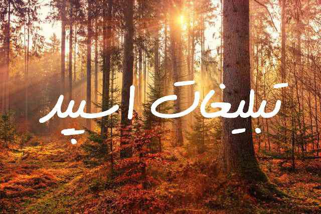 کانال واتساپ خبری و طنز