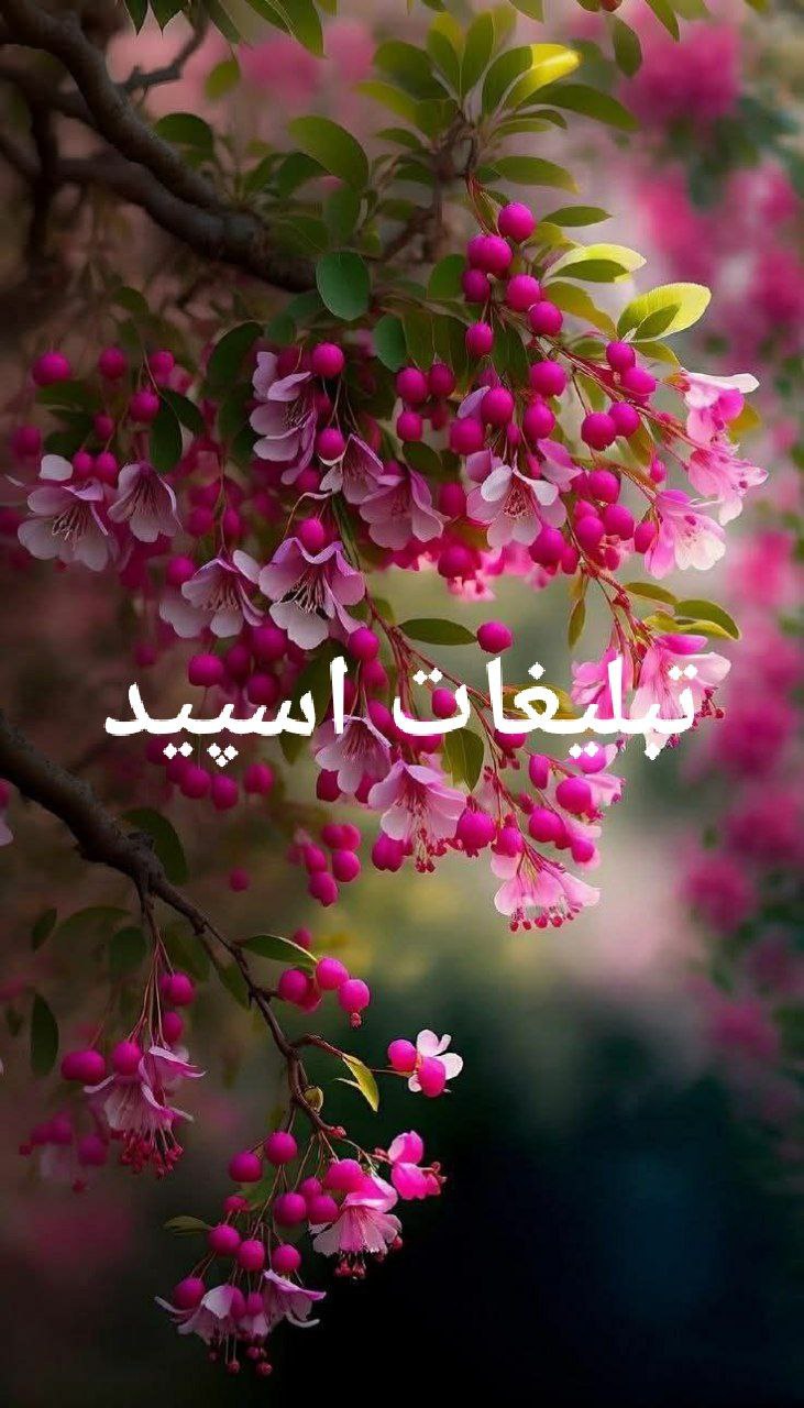 گروه تلگرام پاتوق رفقا 