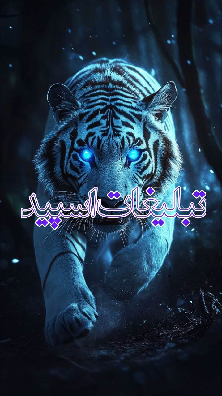 💥🧨𝕍𝕀𝔼𝕎𝔼ℝ 𝕊ℙ𝔼𝔼𝔻|ویور اسپید🧨💥 (1)