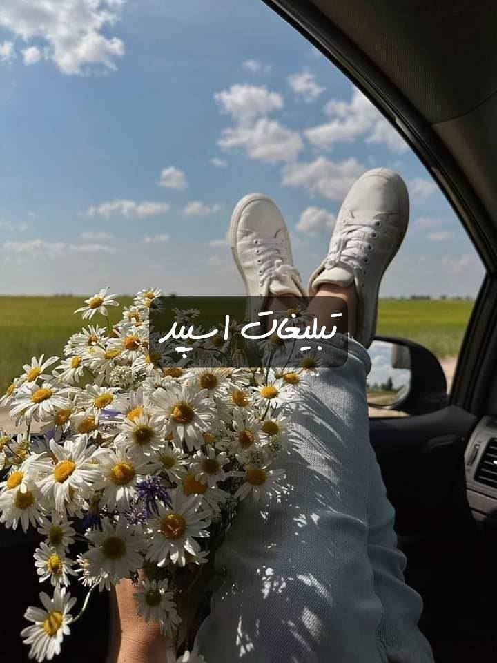 گپ تلگرام آلاچیق دوستان