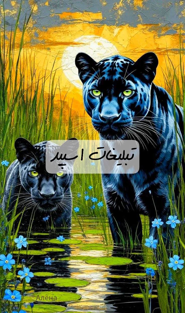 گروه تلگرام گاد لند ایلام