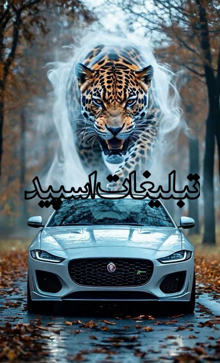 🫀༺ͲϴᎠᎬᏞᏆᎻᎪ༻🫀