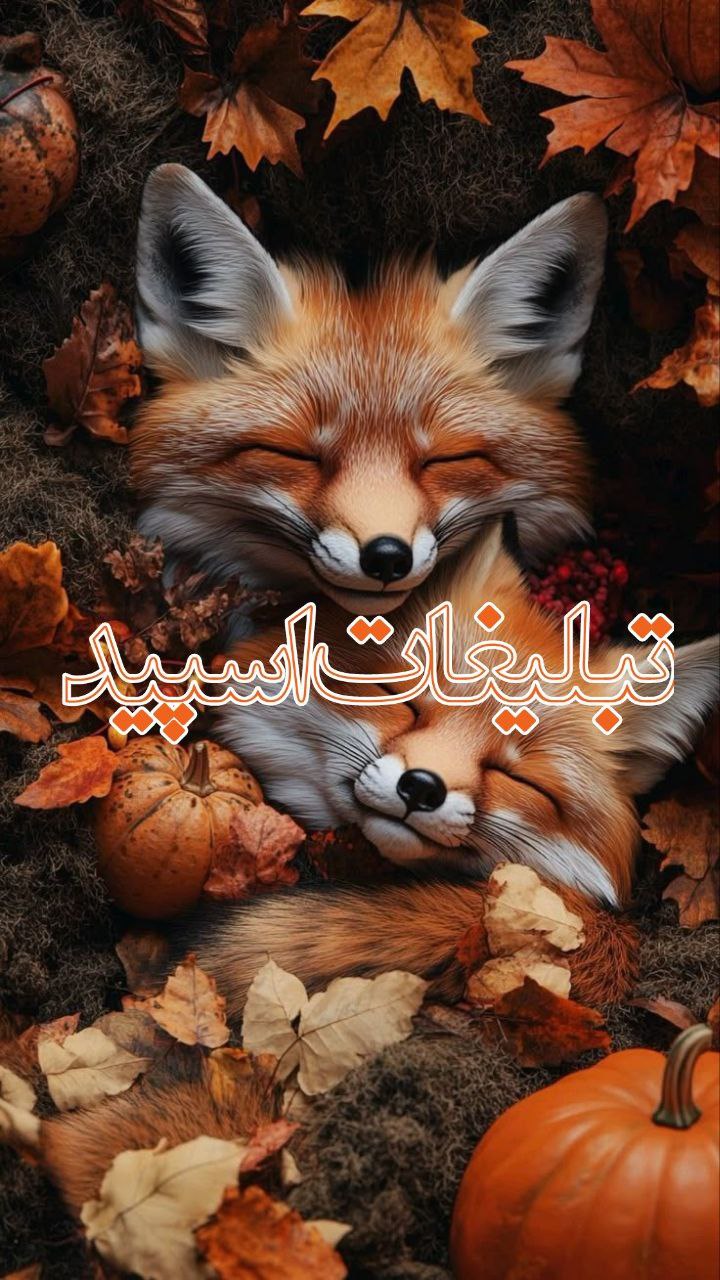 کلبه عشق رفیق های ماندگار❤️