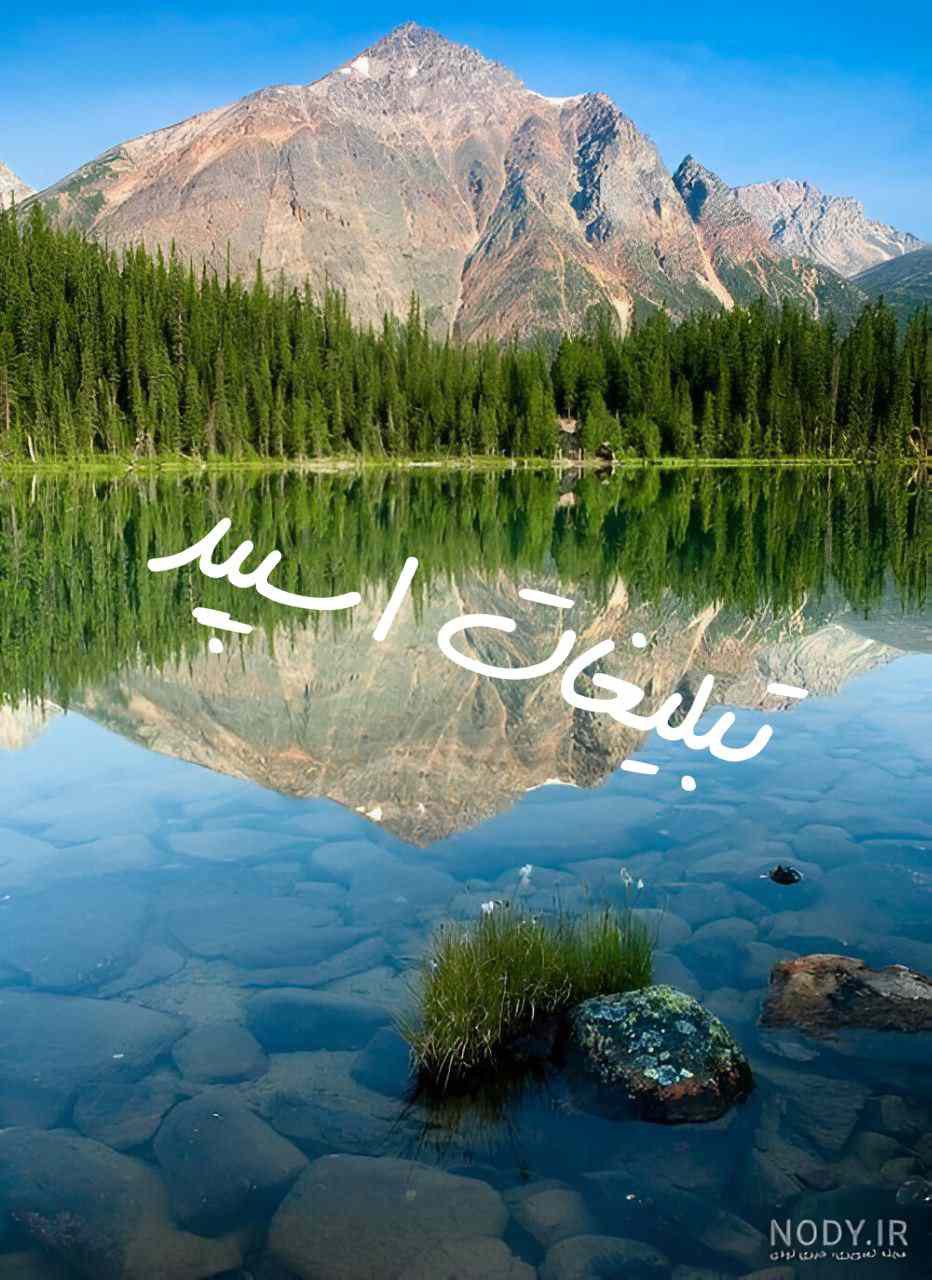 گروه چت گلچین با معرفتا